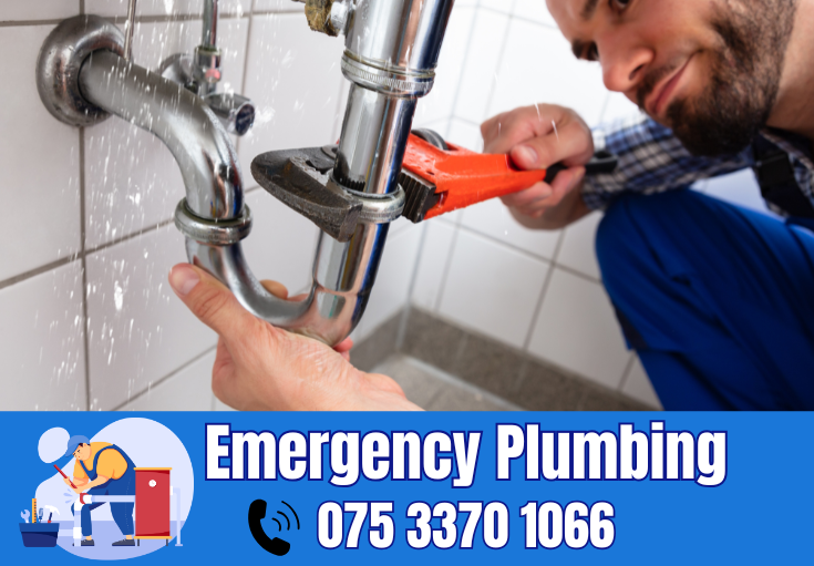  plumber Ash